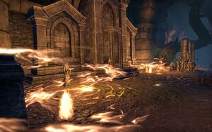 ON-place-Cath Bedraud 06.jpg