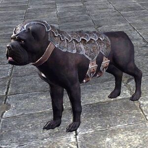 ON-pet-Alliance War Dog (Pact).jpg