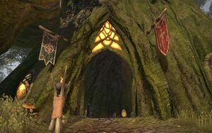 ON-place-Guild Hall (Silvenar).jpg