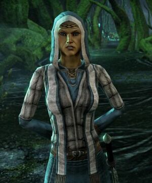 ON-npc-Journeyman Mirondil.jpg