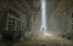 ON-quest-Roots in Stone 08.jpg