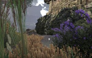 ON-quest-Candleflies for the Dead 05.jpg