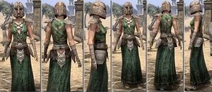 ON-item-armor-Homespun-f-Draugr Style.jpg