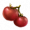 ON-icon-food-Tomato.png