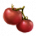 ON-icon-food-Tomato.png