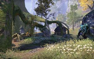 ON-place-Beldama Wyrd Tree 01.jpg