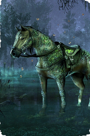 ON-card-Steed of the Afflicted.png