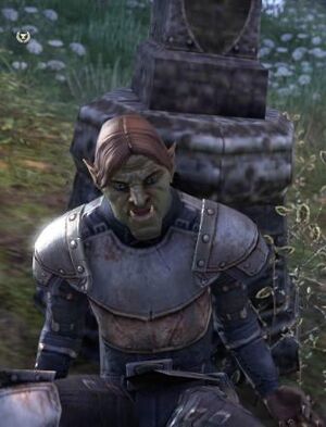 ON-npc-Sergeant Muzbar.jpg