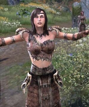 ON-npc-Wyress lleana 01.jpg