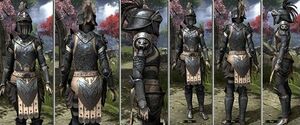 ON-item-armor-Iron-f-Daggerfall Covenant.jpg