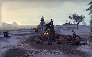 ON-place-Coastal Giant Camp 01.jpg