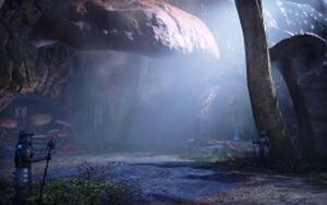 ON-place-Tel Mora 02.jpg