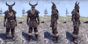 ON-item-armor-Full-Leather-Nord-Male.jpg