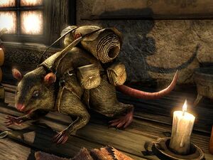 ON-pet-Mournhold Packrat.jpg