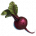 ON-icon-food-Beets.png