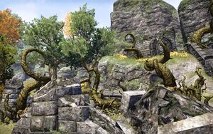 ON-place-Valewatch Tower 01.jpg