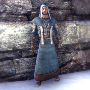 ON-costume-Mages Guild Research Robes (Male).jpg