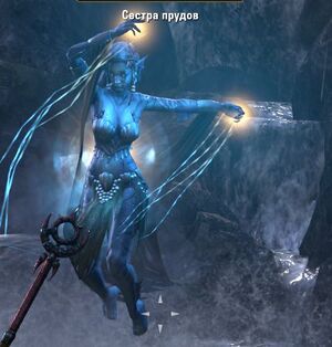 ON-npc-Sister of Pools.jpg