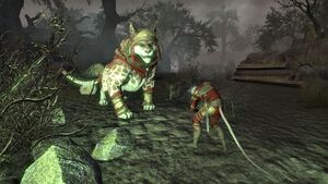 ON-npc-Caska (Shipwright's Regret)-s.jpg