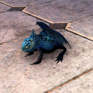 ON-pet-Blue Oasis Dragon Frog.jpg