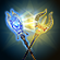 ON-icon-achievement-Wizard's Duel.png