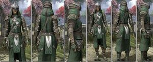 ON-item-armor-Homespun-f-Mercenary Style.jpg