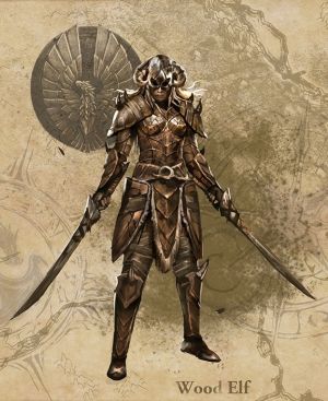 ON-Armor-concept-Wood Elf Style.jpg