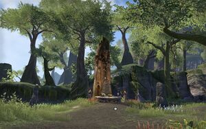 ON-place-The Hunting Grounds (Malabal-Tor) 01.jpg