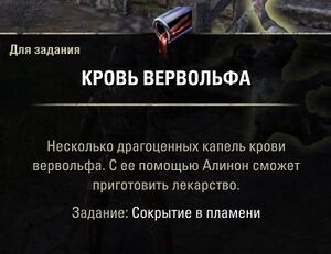 ON-quest-Hidden in Flames 05.jpg