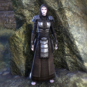 ON-costume-Battlemage Scout Captain Uniform (Female).jpg