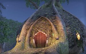 ON-place-The Treethane's House.jpg