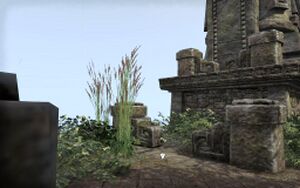ON-quest-Candleflies for the Dead 06.jpg