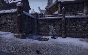 ON-place-Windhelm Outlaws Refuge.jpg