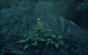 ON-quest-Flowers in the Folly 03.jpg