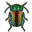 ON-icon-style material-Polished Scarab Elytra.png