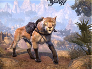 ON-mount-Senche-Cougar.jpg