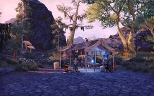 ON-place-Mages Guild (Balmora).jpg